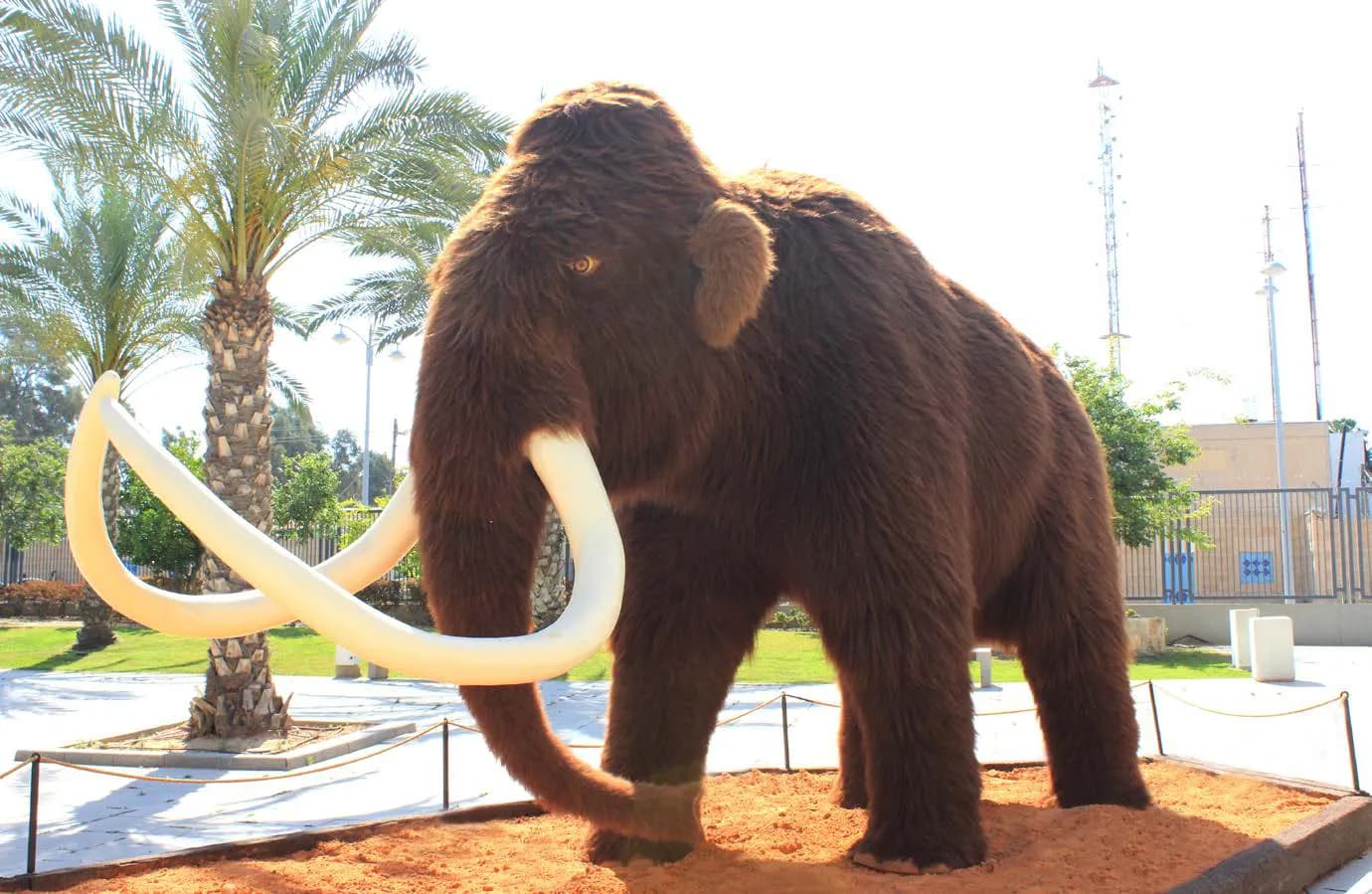 Mamut lanudo a escala real